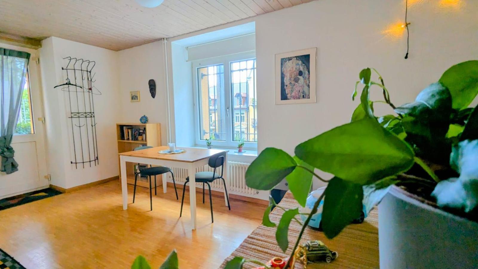 苏黎世Urban Retreat - Cozy Studio With Private Patio公寓 外观 照片